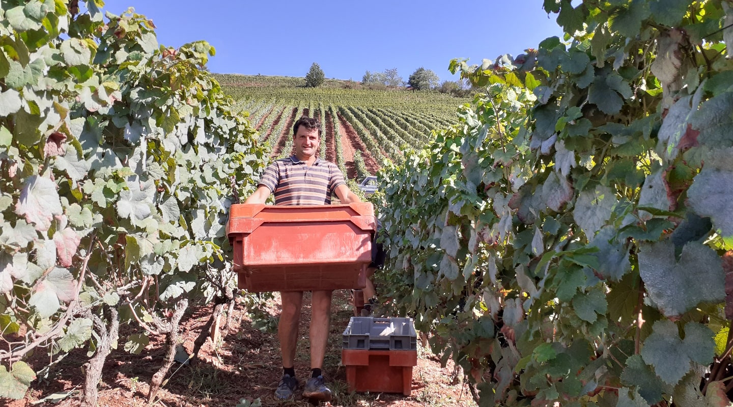 Domaine Etxondoa