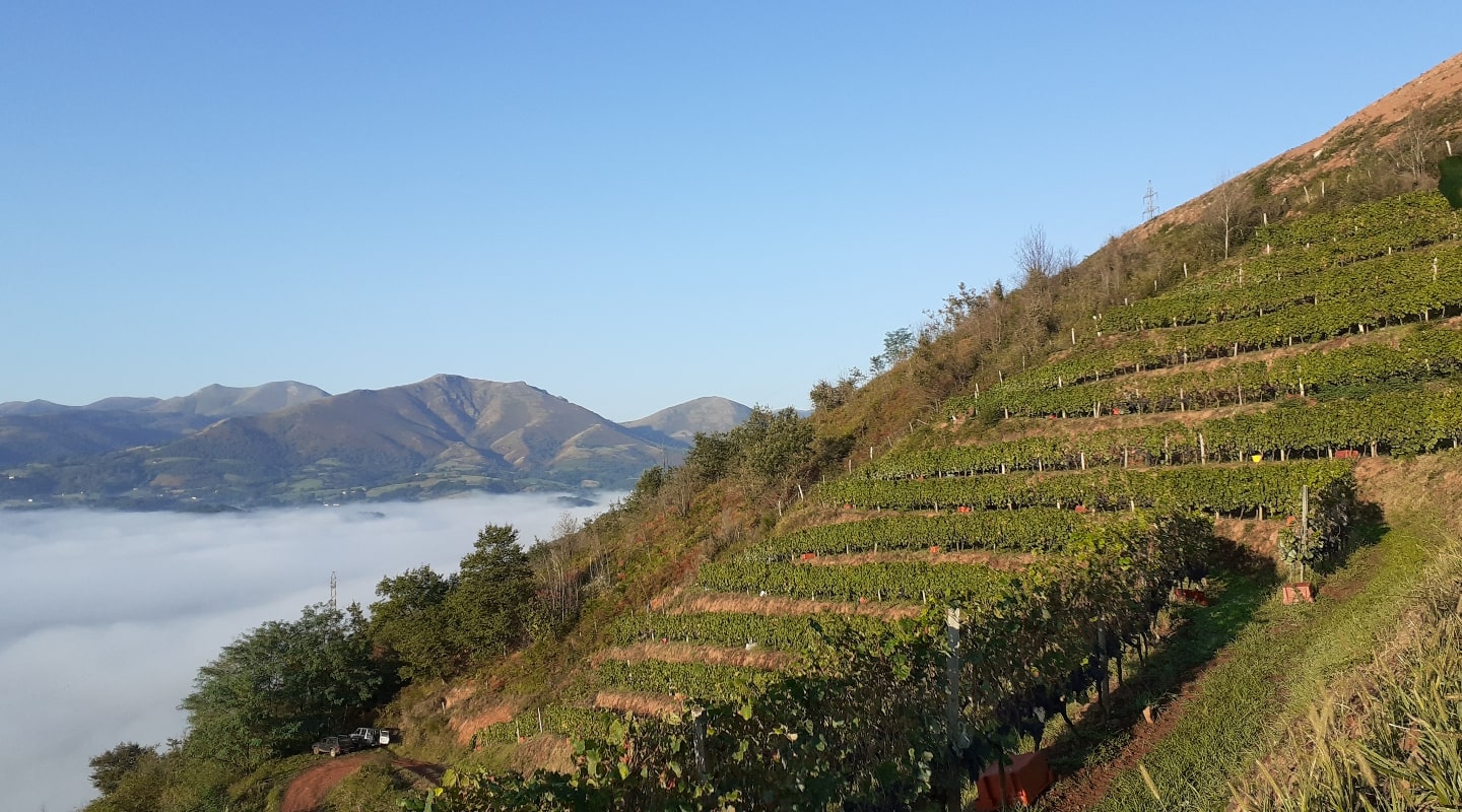 Domaine Etxondoa — photo 3