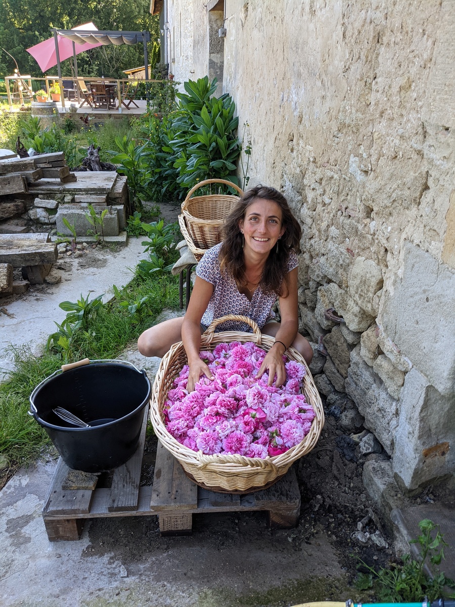 Les vagabondes - Production de plantes aromatiques et médicinales