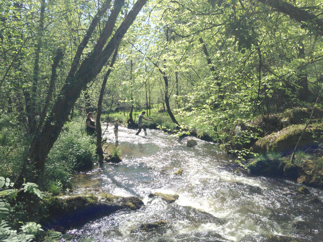 L'éveil de la Forêt - le gîte du Moulin, Vitrac-sur-Montane - photo 10