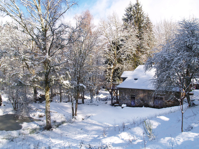 L'éveil de la Forêt - le gîte du Moulin, Vitrac-sur-Montane - photo 7