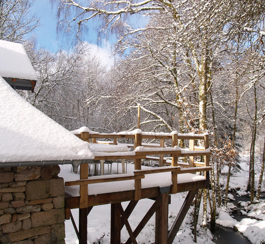 L'éveil de la Forêt - le gîte du Moulin, Vitrac-sur-Montane - photo 3
