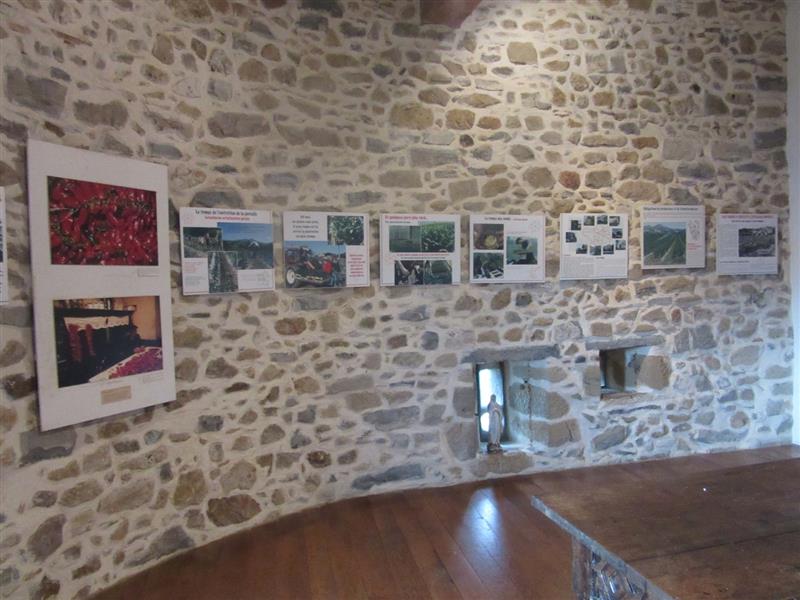 Exposition le Piment dans le Monde