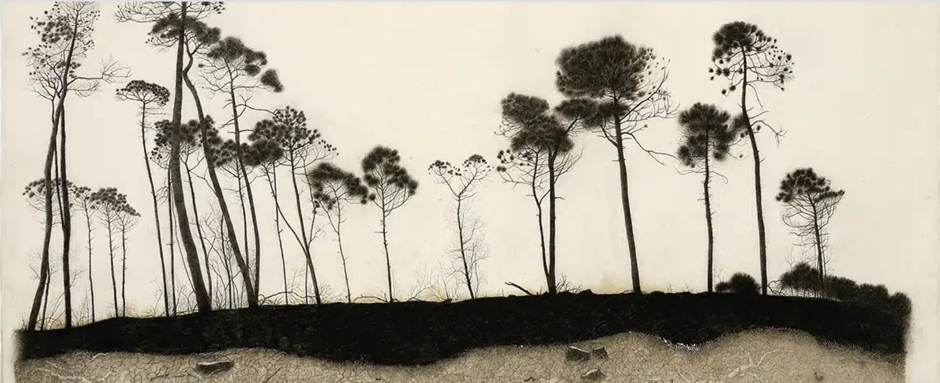 Exposition "La part du feu" de Claire Forgeot