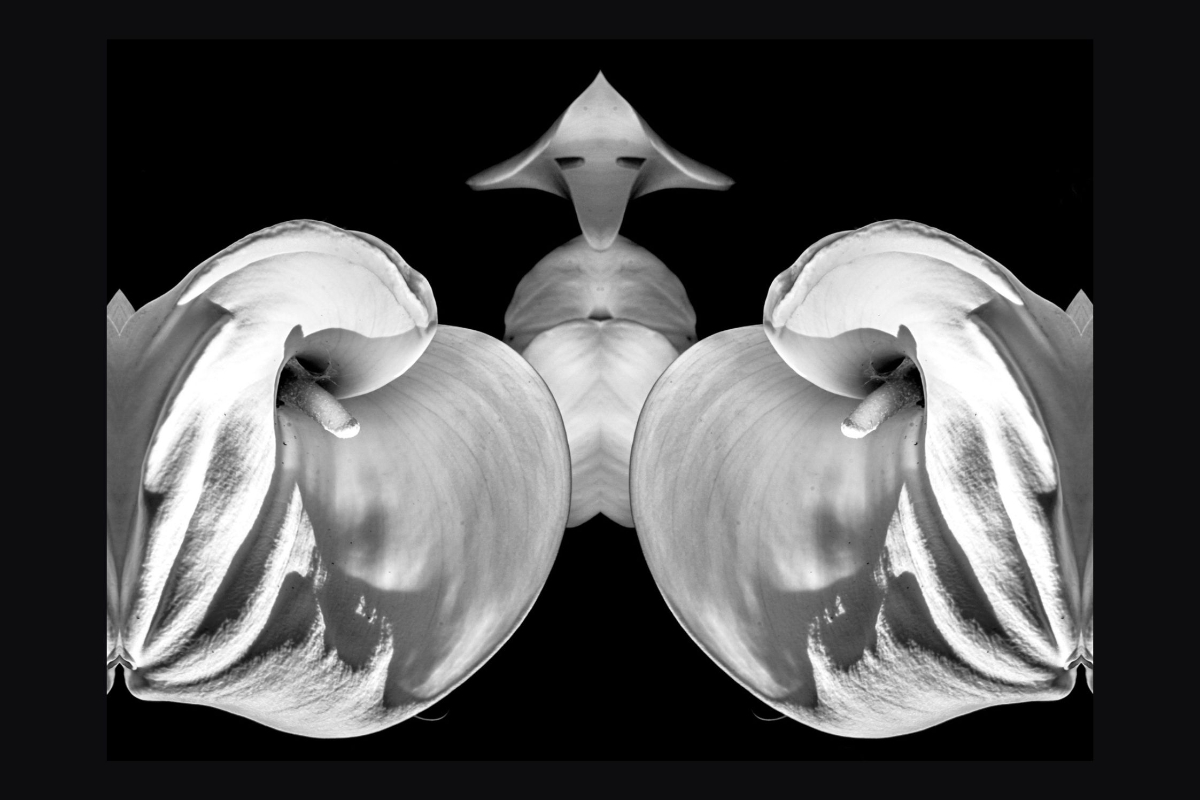 Exposition | Philippe GILLOTTE - Photographie