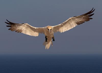 Exposition photographique 