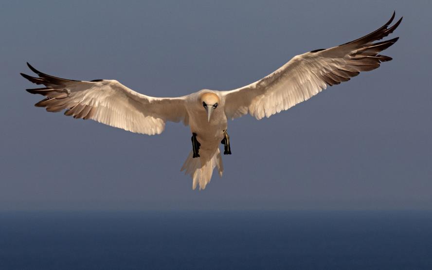 Image de présentation du lieu