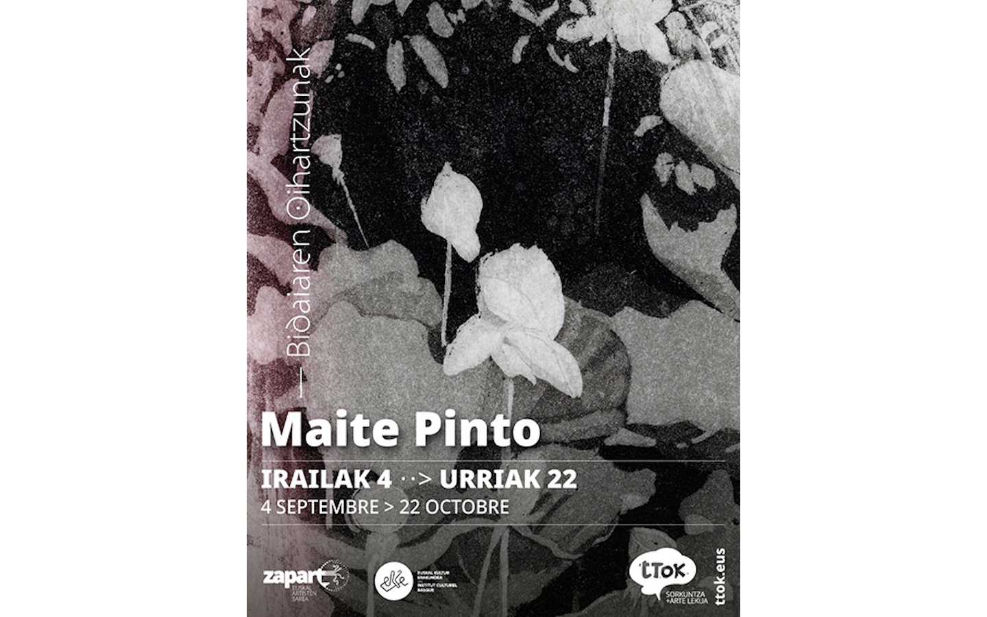 Exposition de Maité PINTO : "Bidaiaren oihartzunak" - "Echos de voyage"