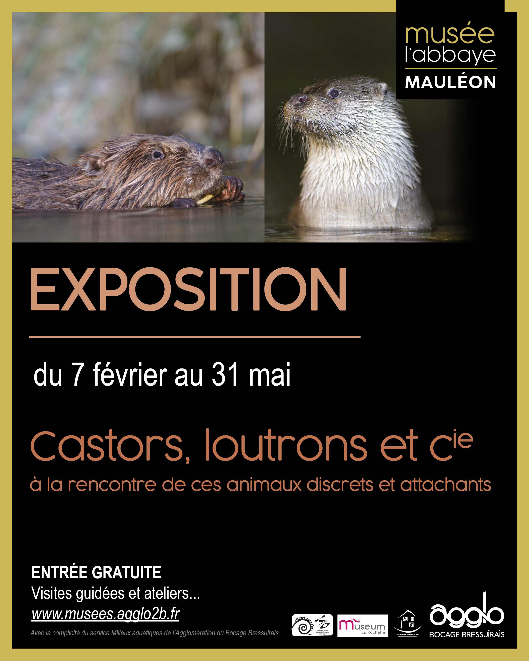 Musée L'Abbaye - Visite guidée - Au coeur des rivières, Mauléon