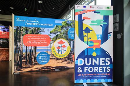 Exposition Dunes et forêts, les gardiennes du littoral - ONF, Cap Sciences, Région Nouvelle-Aquitaine Exposition Dunes et forêts, les gardiennes du littoral - ONF, Cap Sciences, Région Nouvelle-Aquitaine