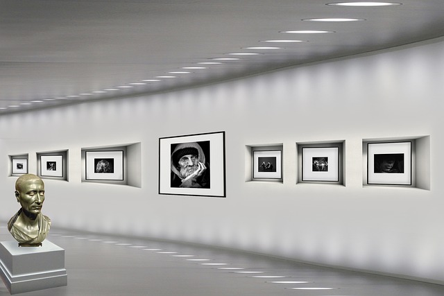 Exposition photographique à la bibliothèque municipale Suzanne Chaumet