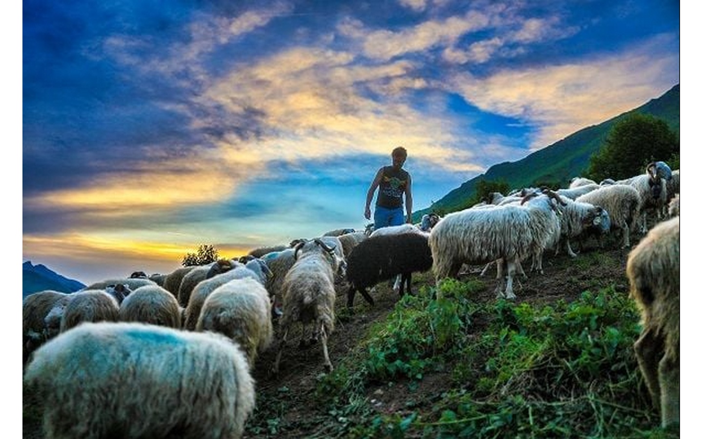 Exposition: Estives, photographie de David Le Déodic — visuel événement