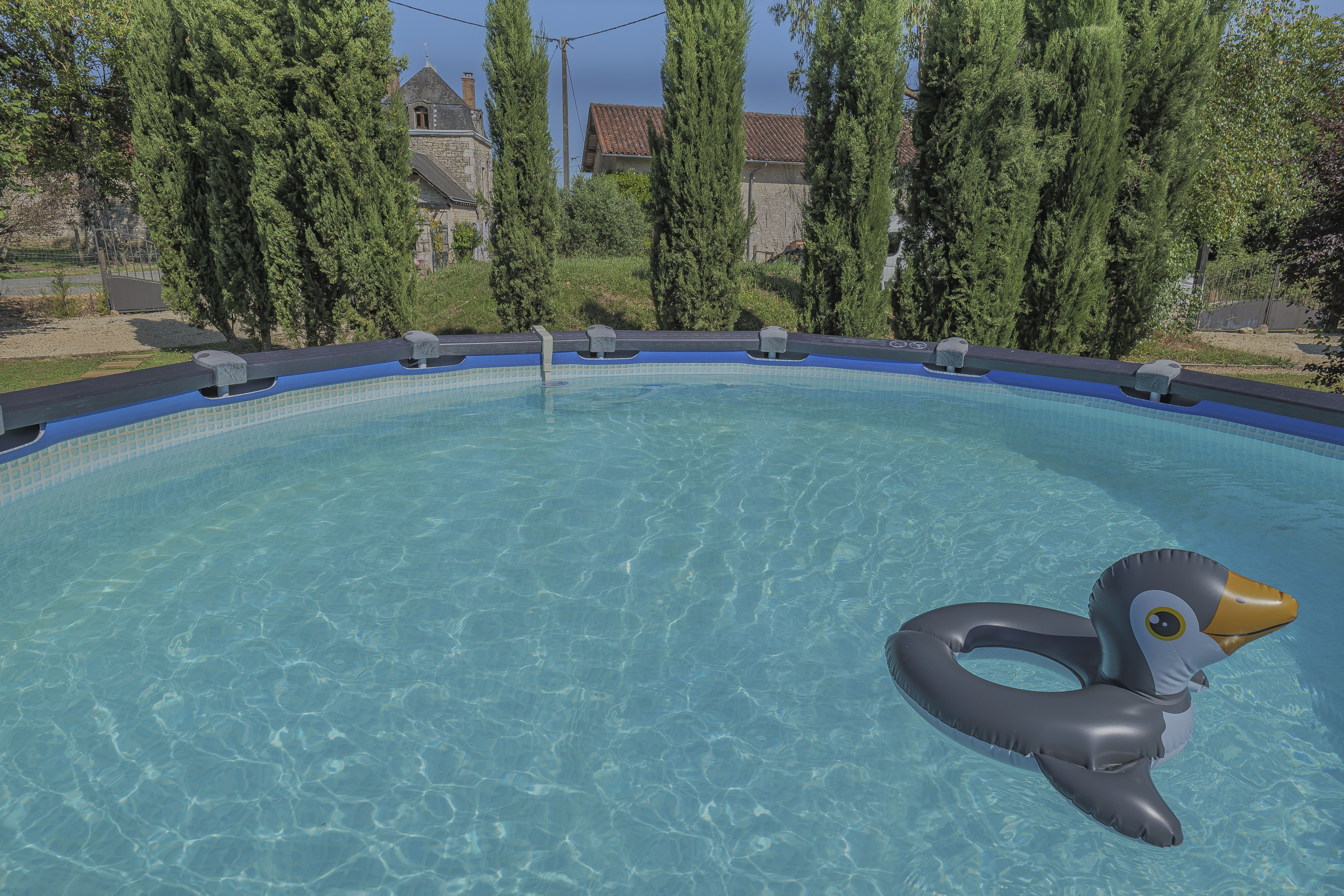 L'Olivier, Lizant - photo 8