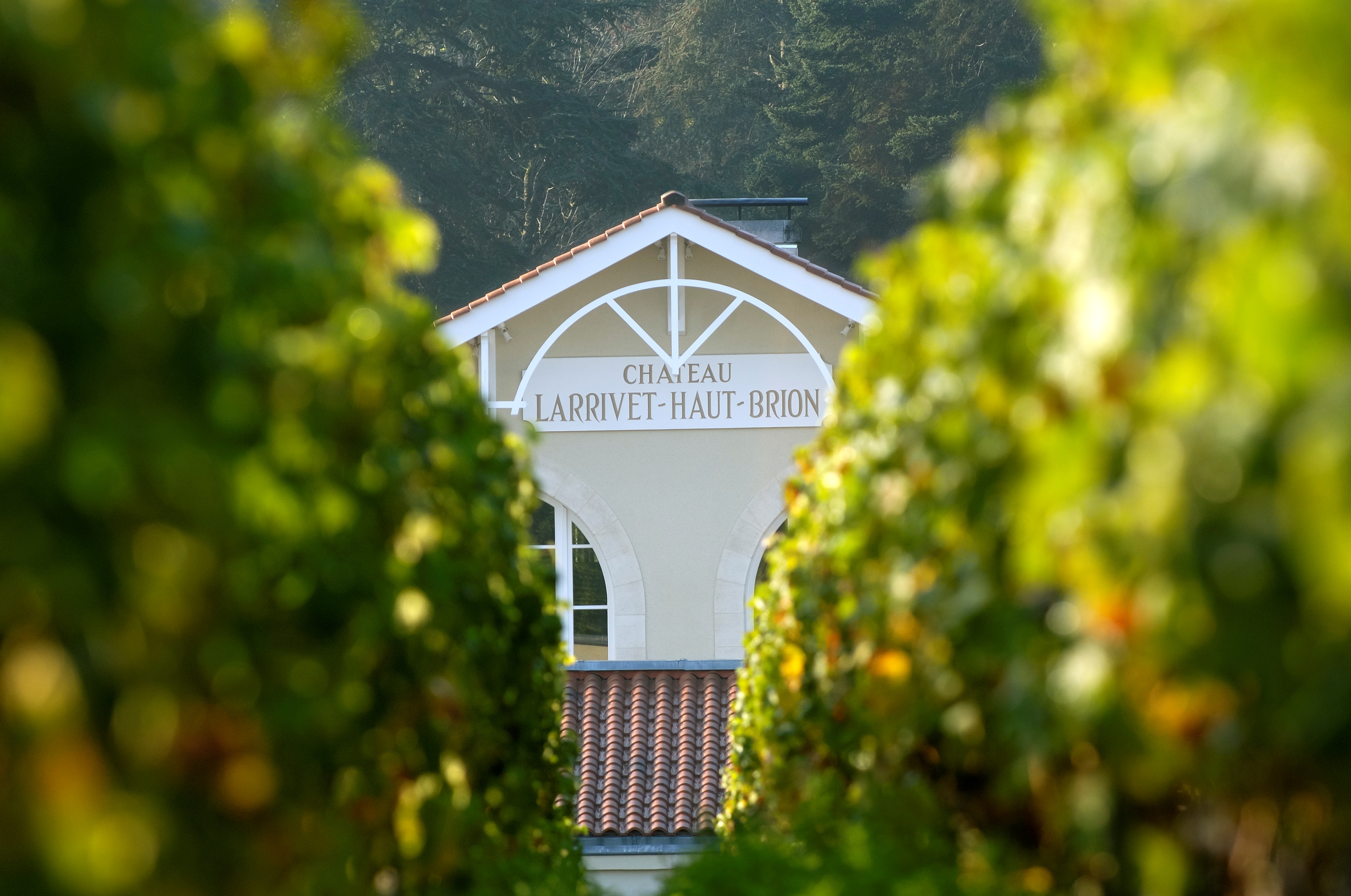 Château Larrivet Haut-Brion