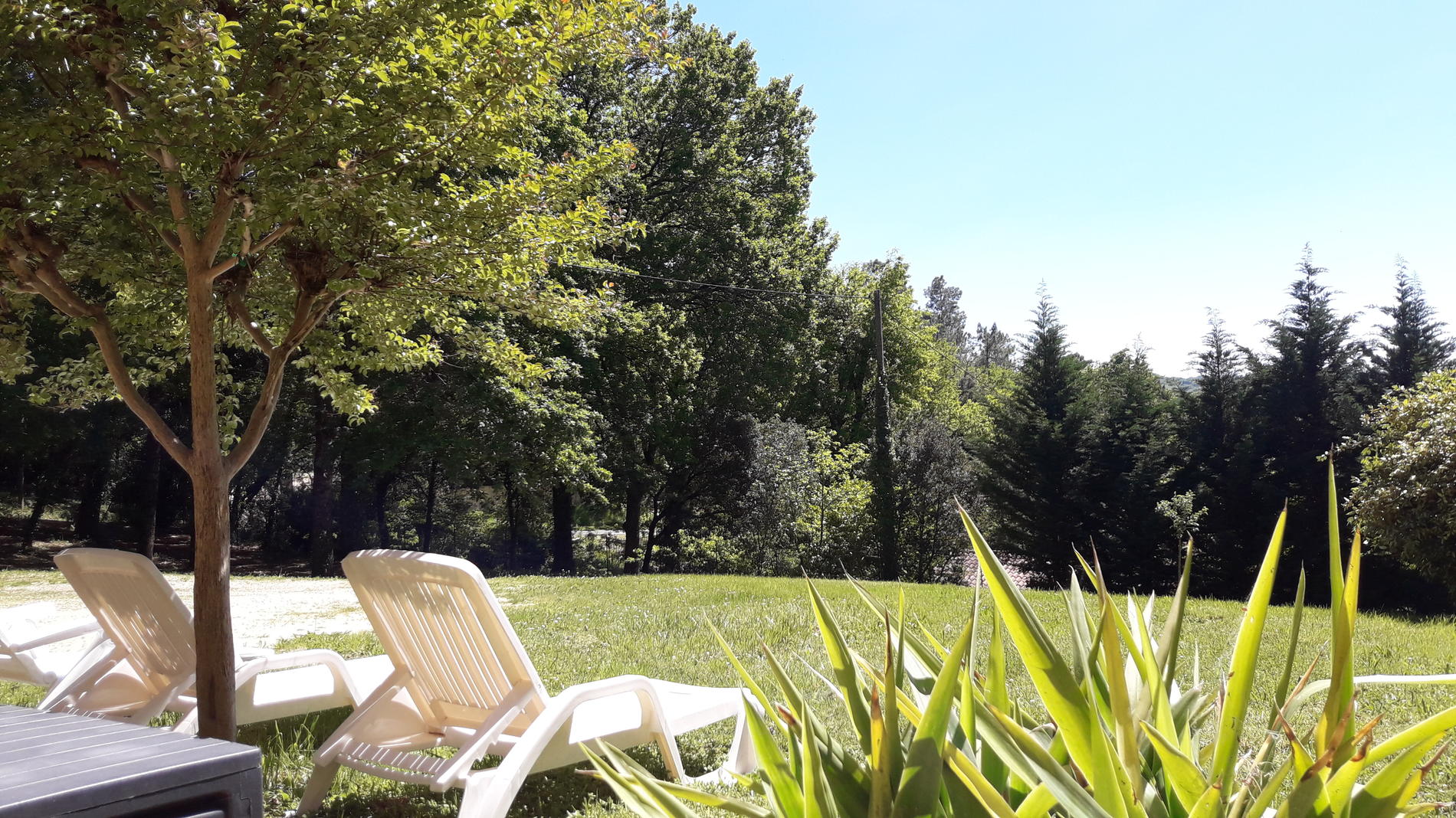 Le Gîte de L'éveil, Carsac-Aillac - photo 15