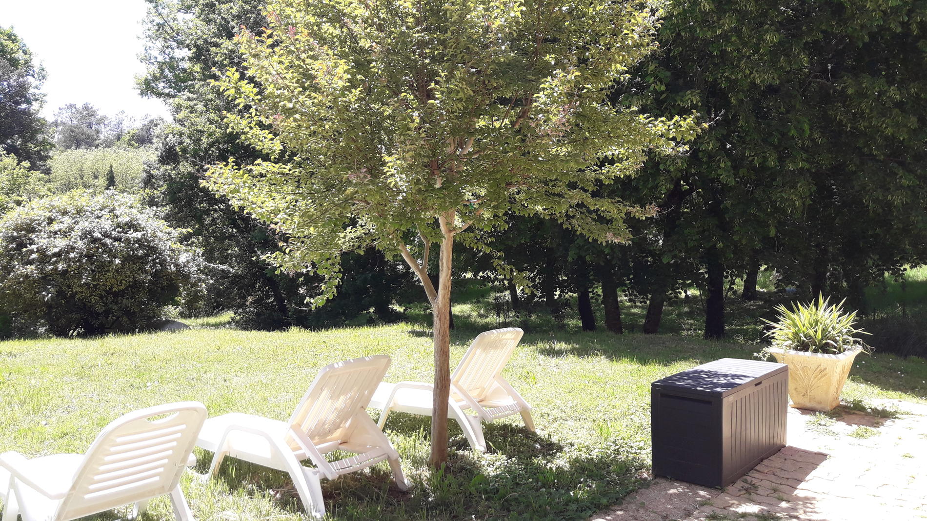 Le Gîte de L'éveil, Carsac-Aillac - photo 9