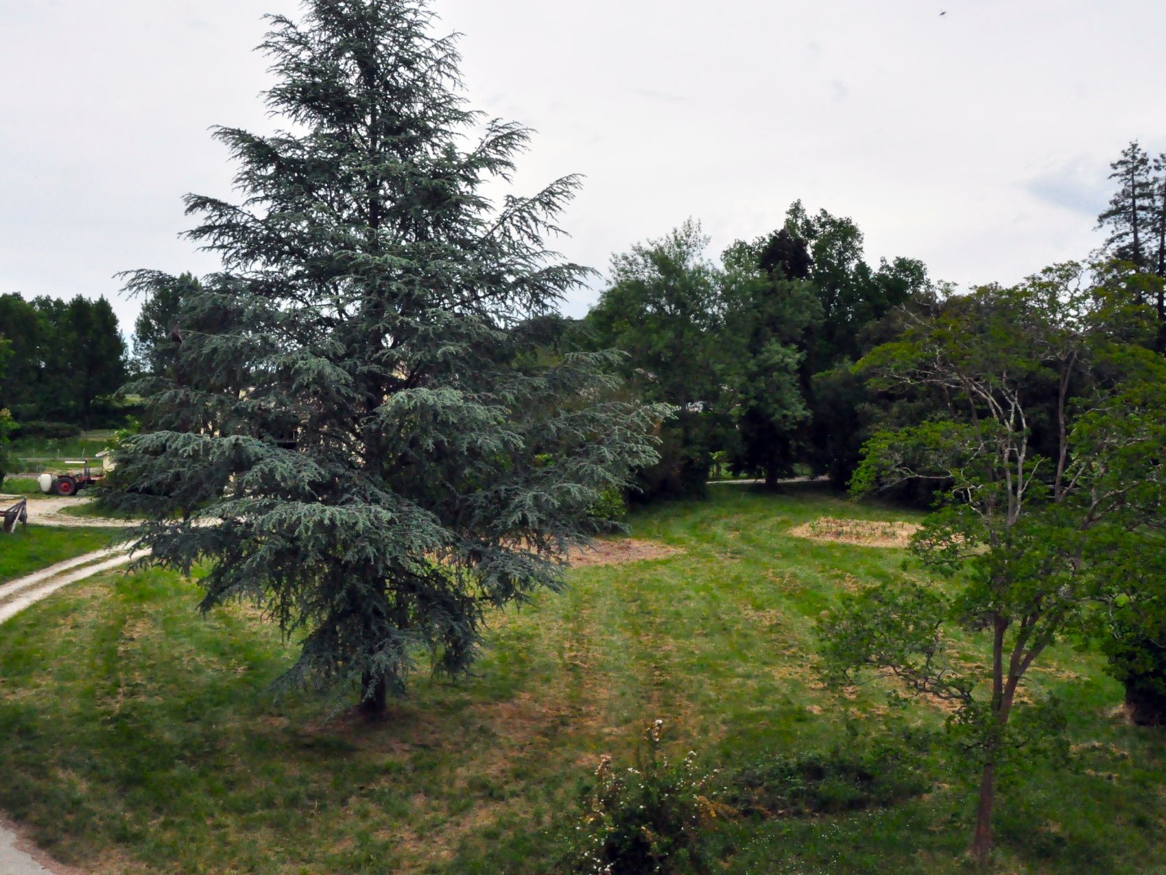 Chateauneuf, Sadirac - photo 12