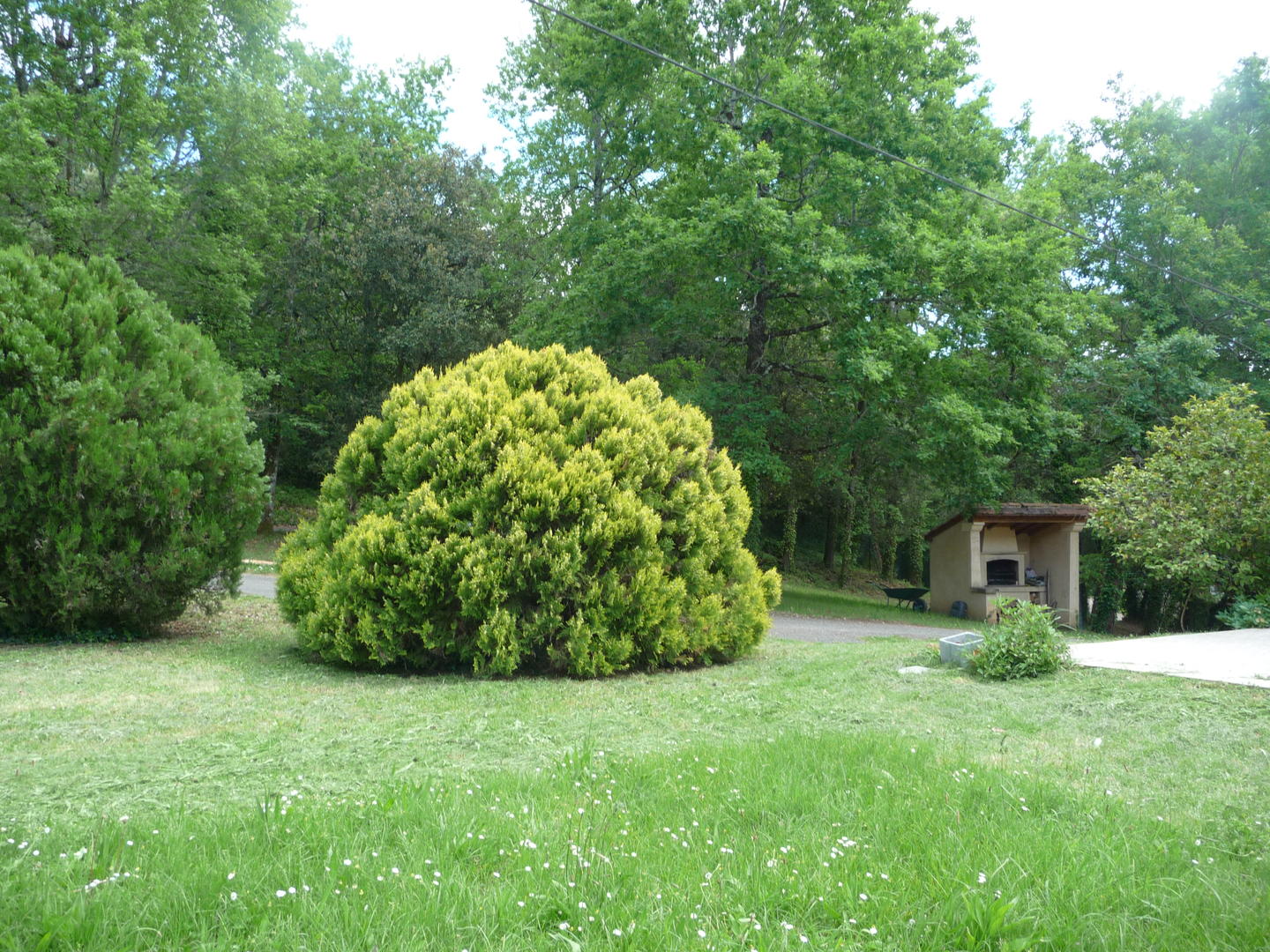 Le Gîte de L'éveil, Carsac-Aillac - photo 13