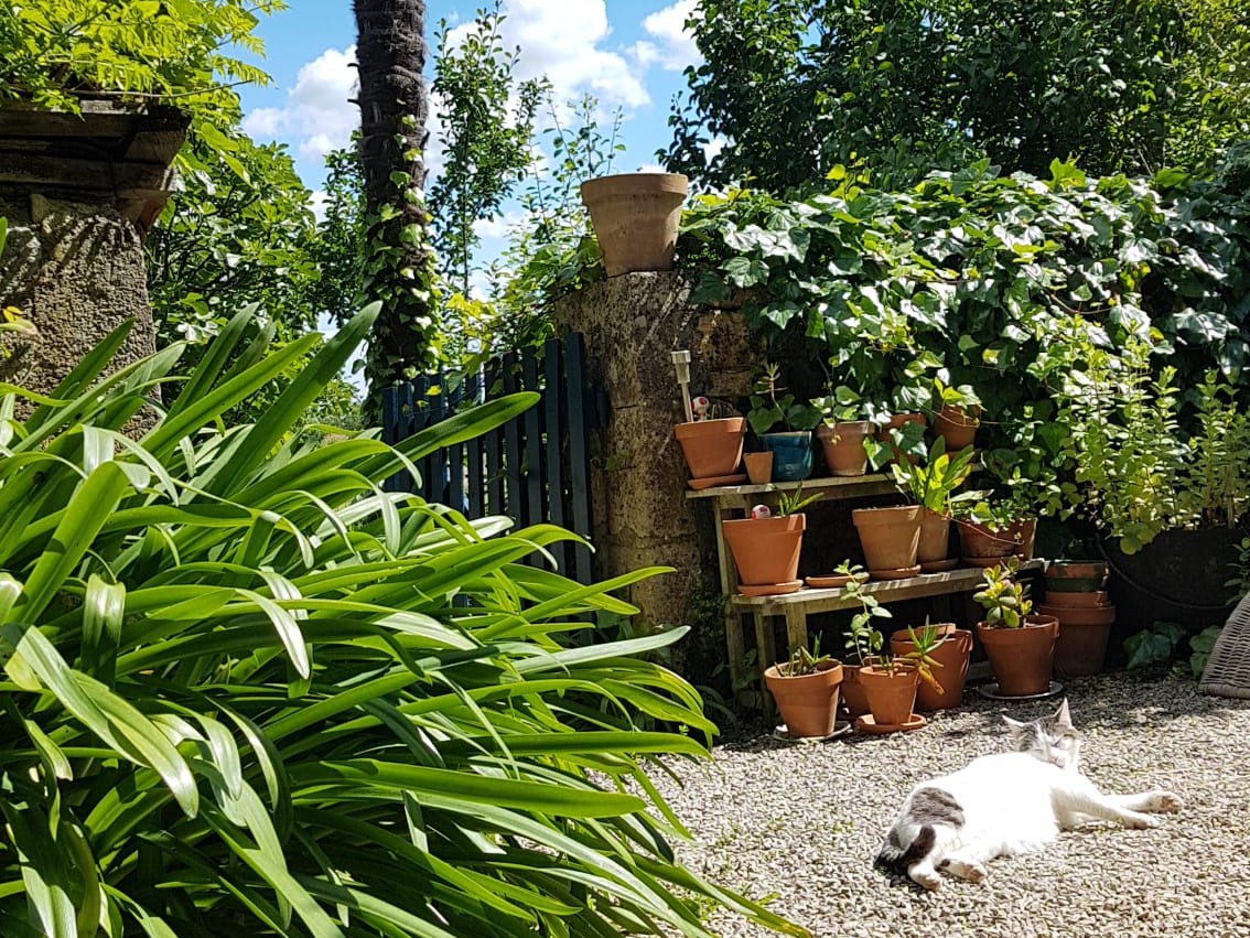 Gîte Maison B, Thiviers - photo 10