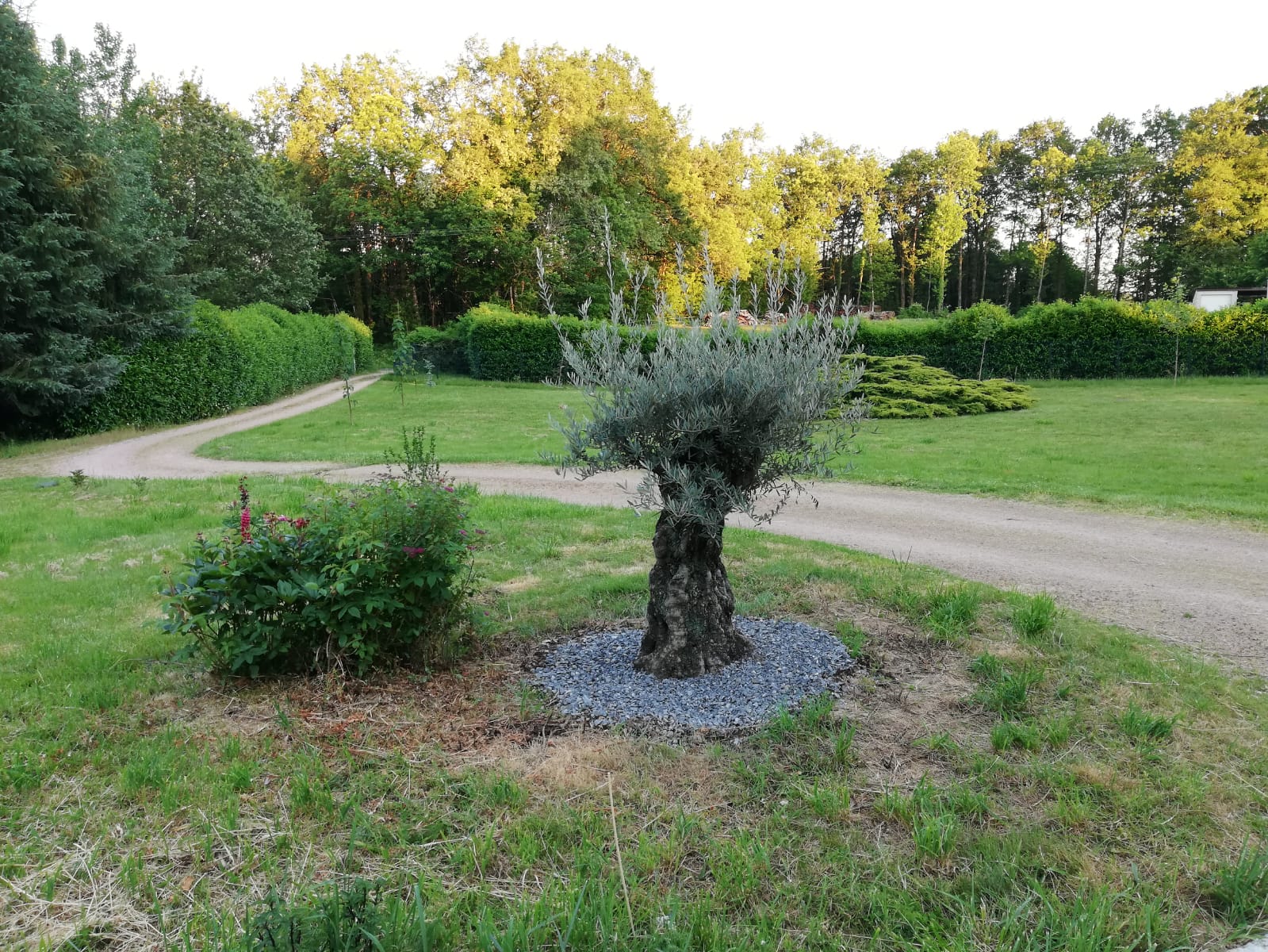 Le Gîte du Parc, La Coquille - photo 11