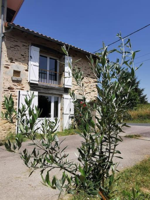 Meublé - La grange de Pierrot, Saint-Bazile - photo 9