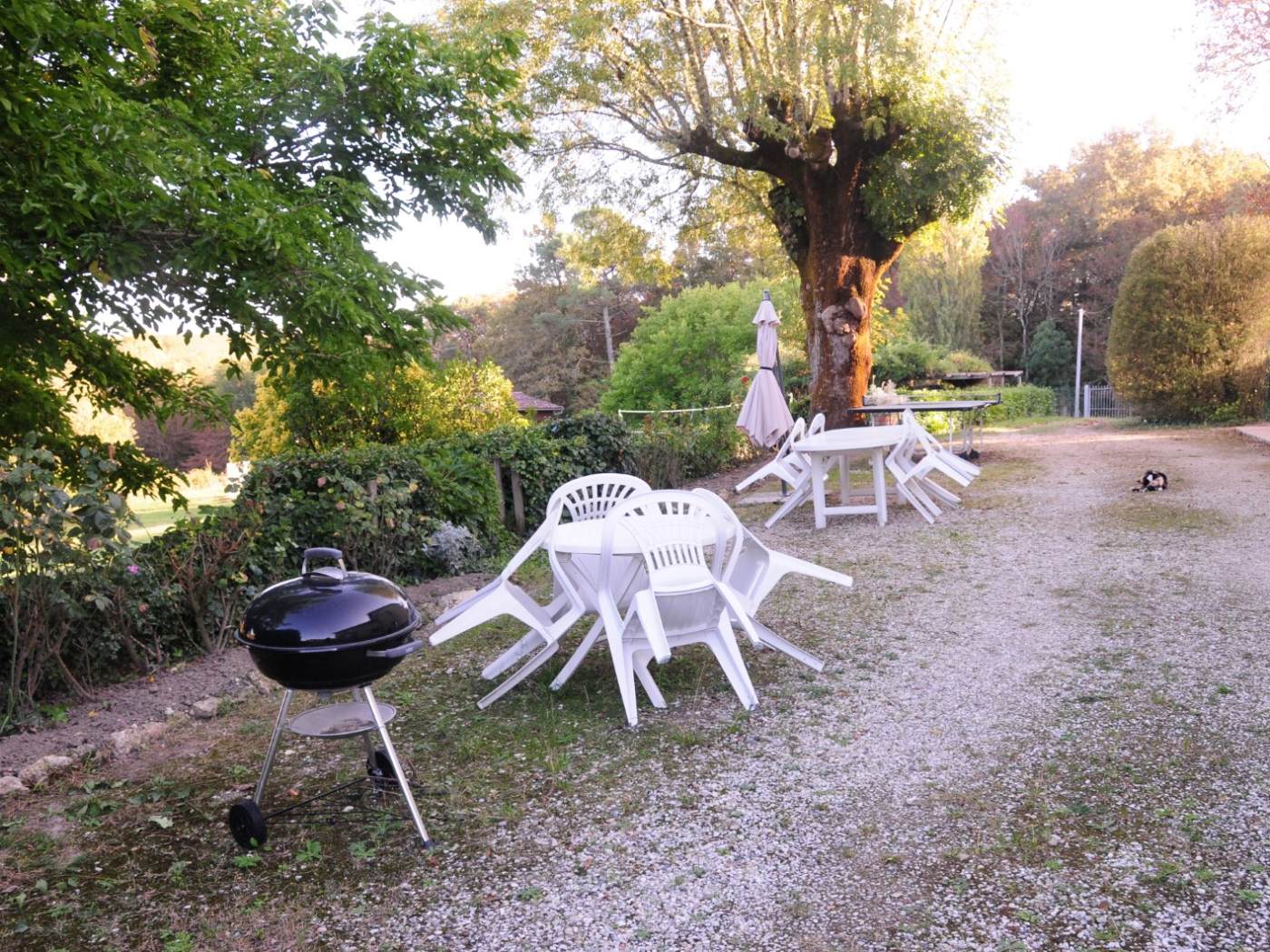 La Métairie Près de Bordeaux, Haux - photo 10