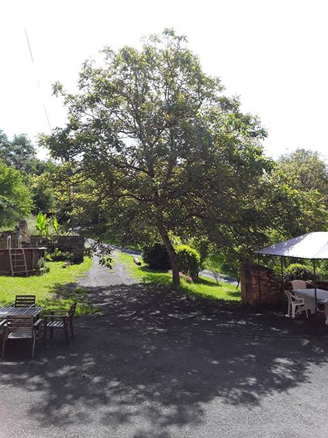 Domaine La Salvagie, Paulin - photo 17