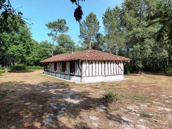 Gîte l'Ostalet, Argelouse