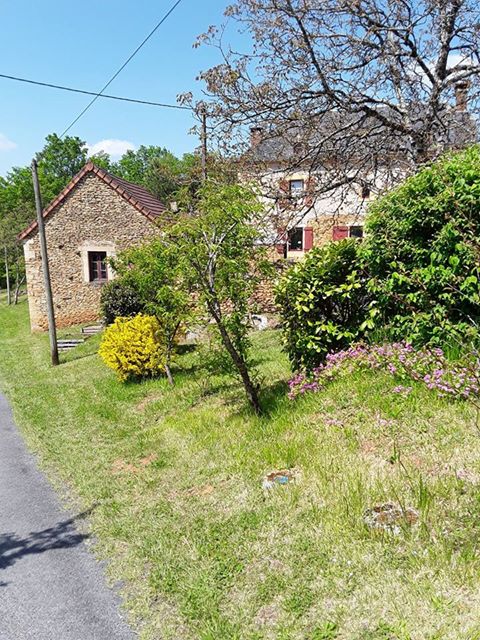 Domaine La Salvagie, Paulin - photo 3