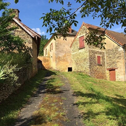 Domaine La Salvagie, Paulin - photo 9