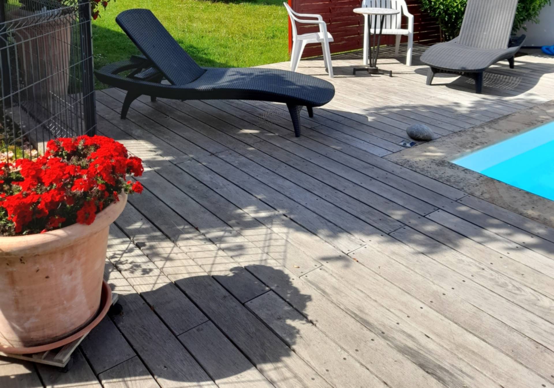 Les Hirondelles, Puyoô - photo 2