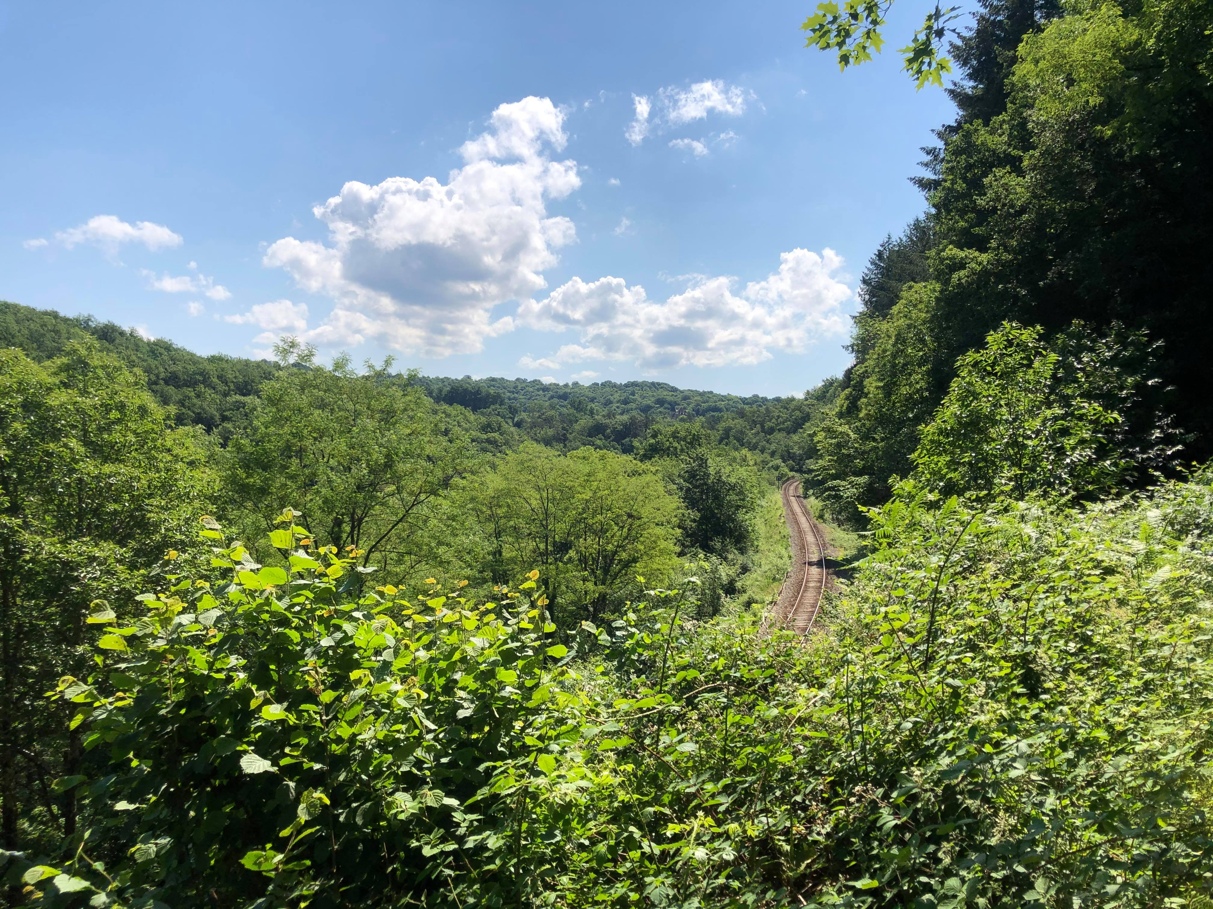 Sentier des gorges de la Vienne, Eymoutiers - photo 4