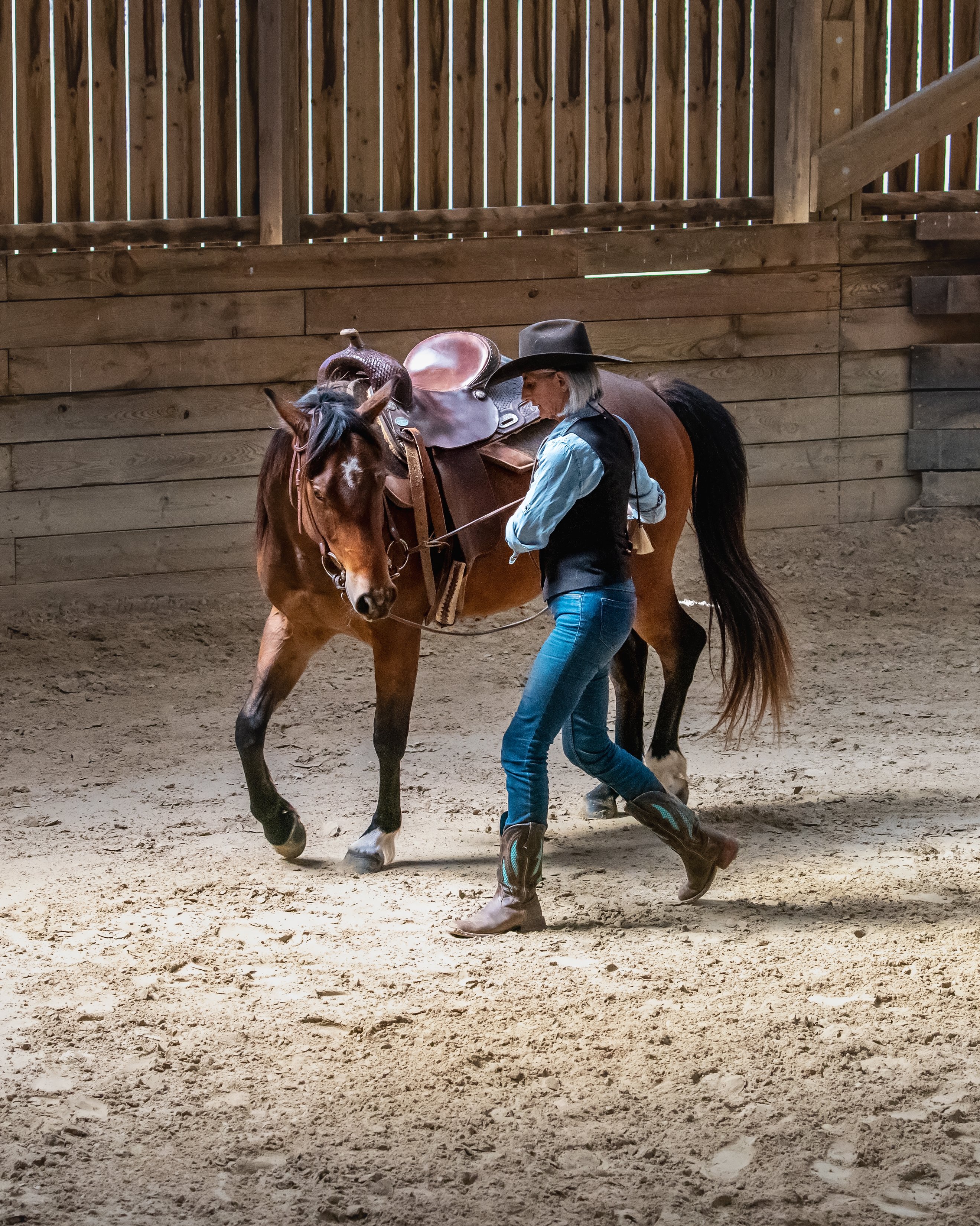 Open Range à Château-Chervix - photo 3