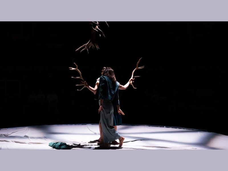 Faune avec la Cie Libertivore dans le cadre de La Nuit du Cirque