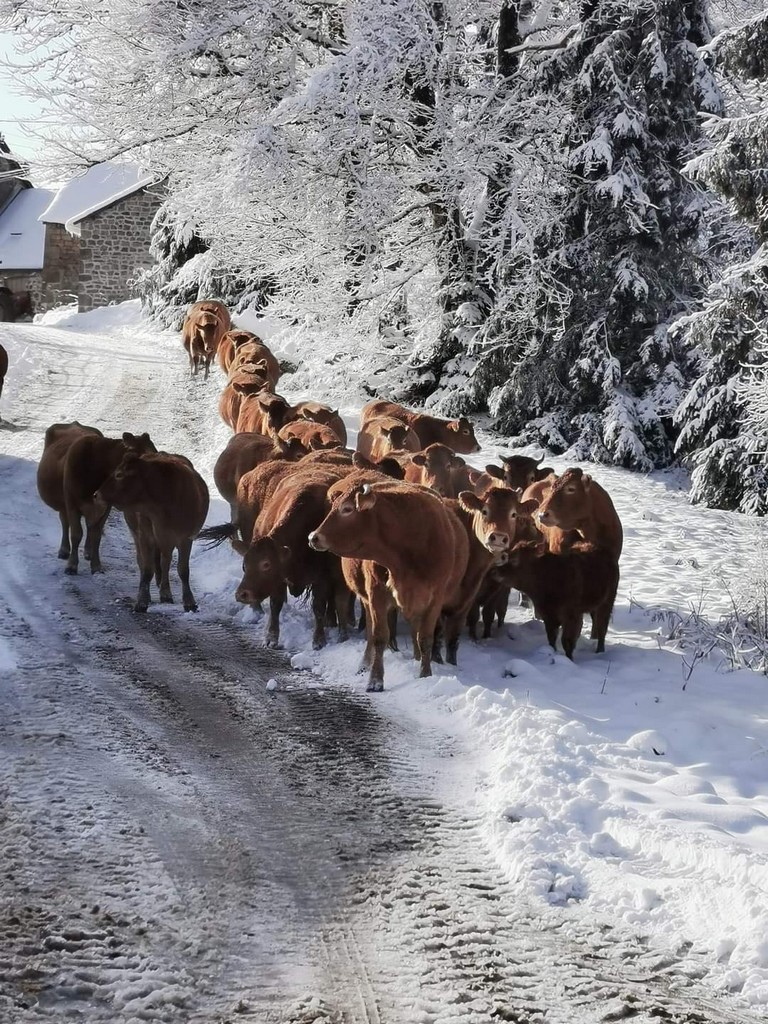 Gîte Bourrier, Hautefage - photo 9