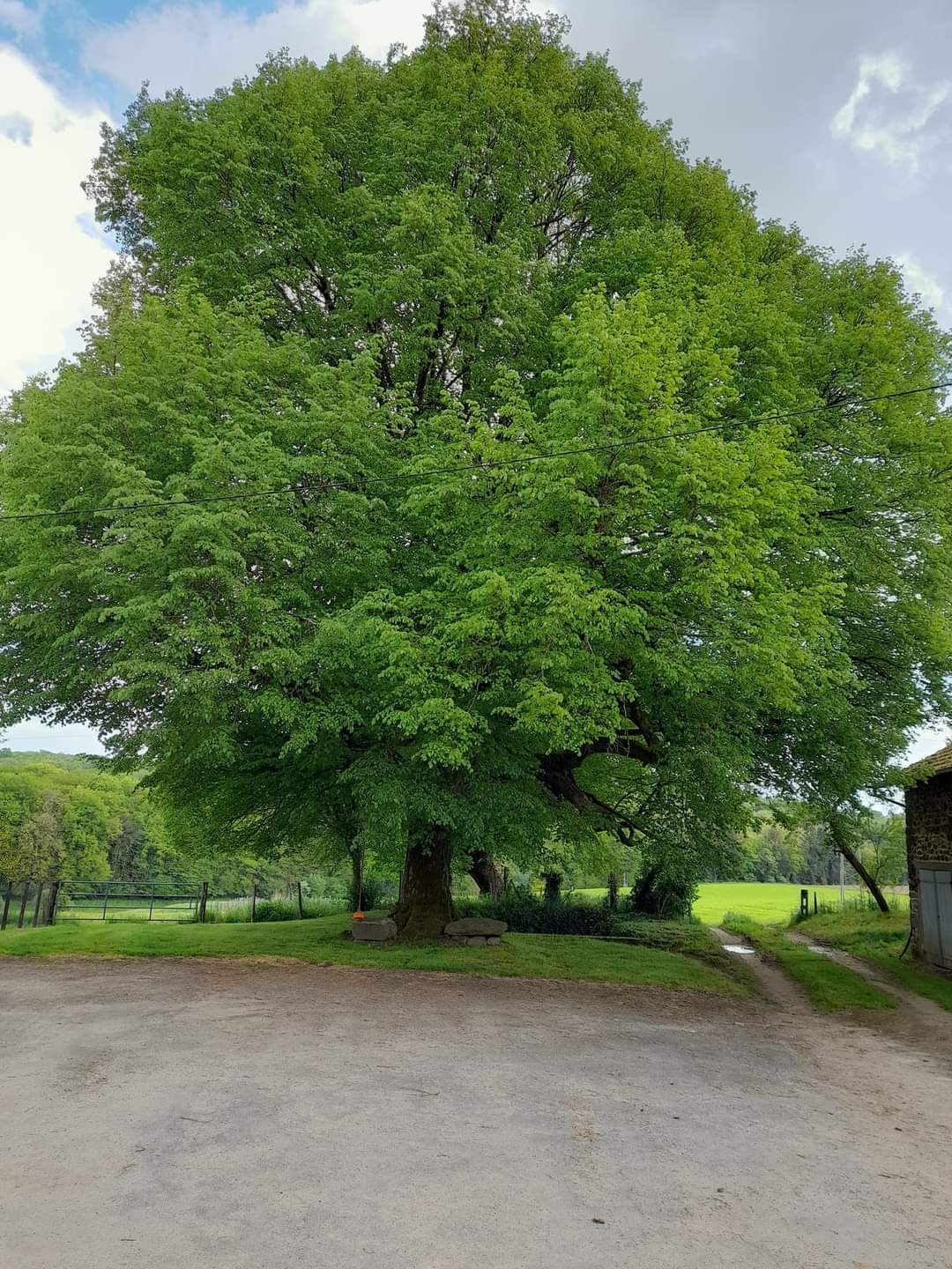 Le gîte du Tilleul, Bujaleuf - photo 2