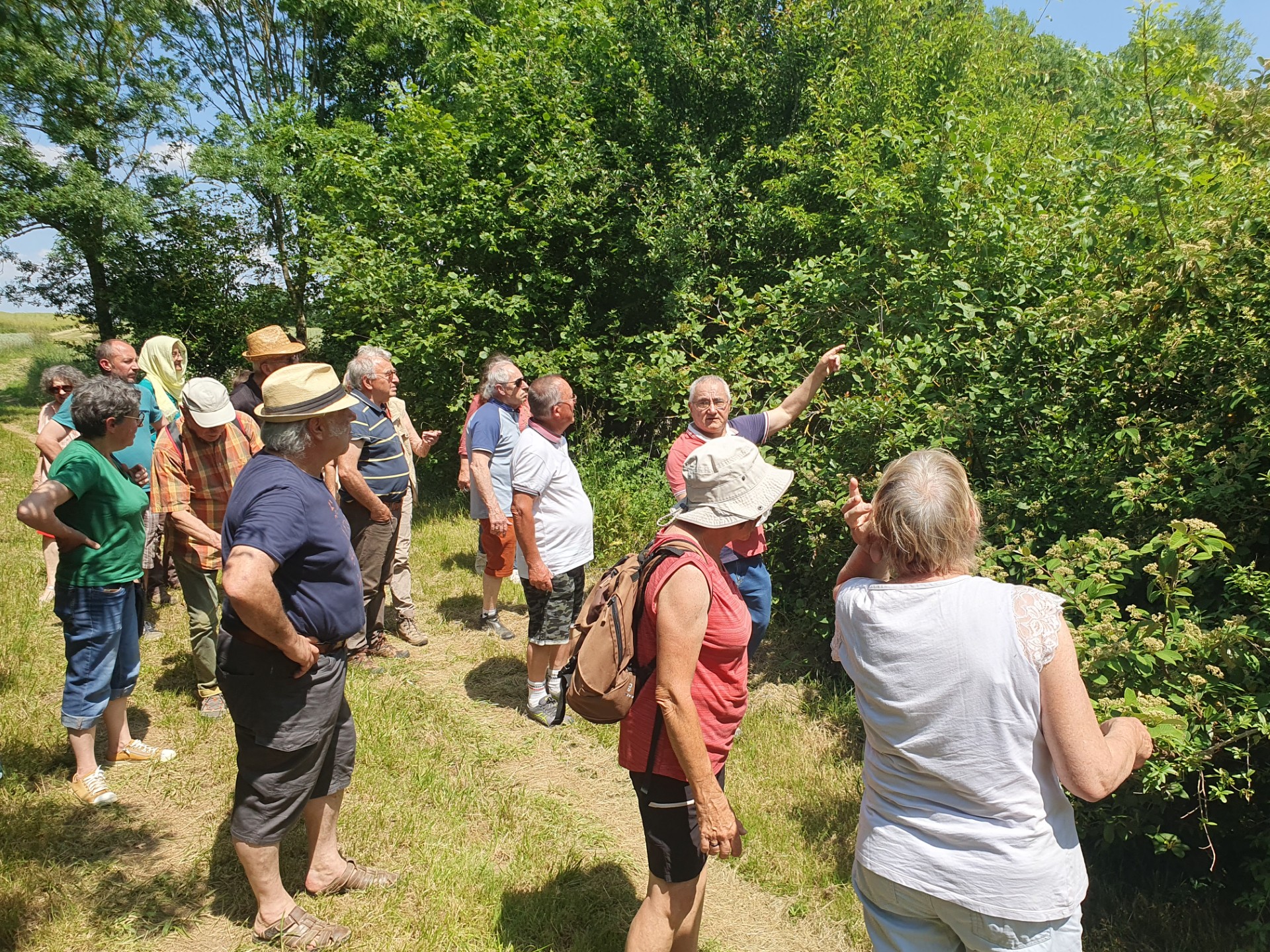Fête de la Nature : visite guidée "Génèse d'une forêt" — visuel événement