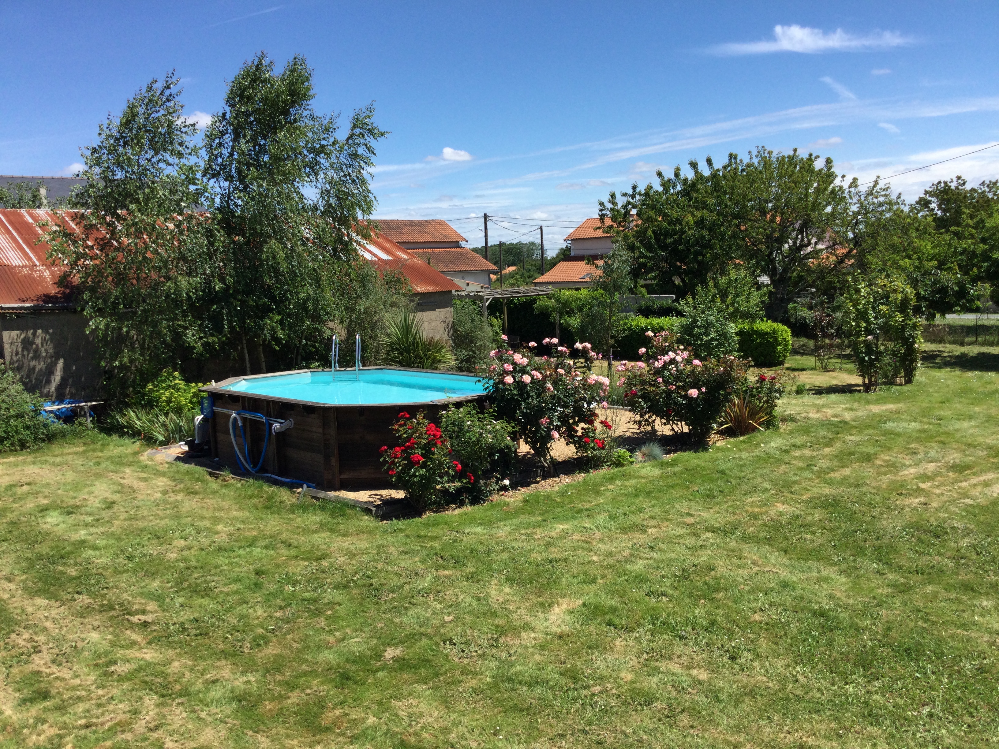 The Bird House - photo 3