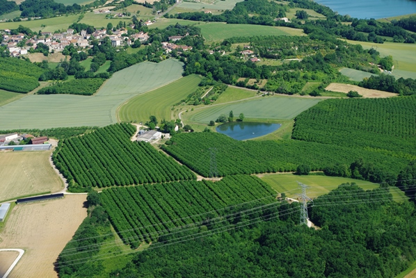 La Maison de la noisette - photo 3