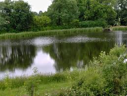 Ferme aquacole de Gâtine