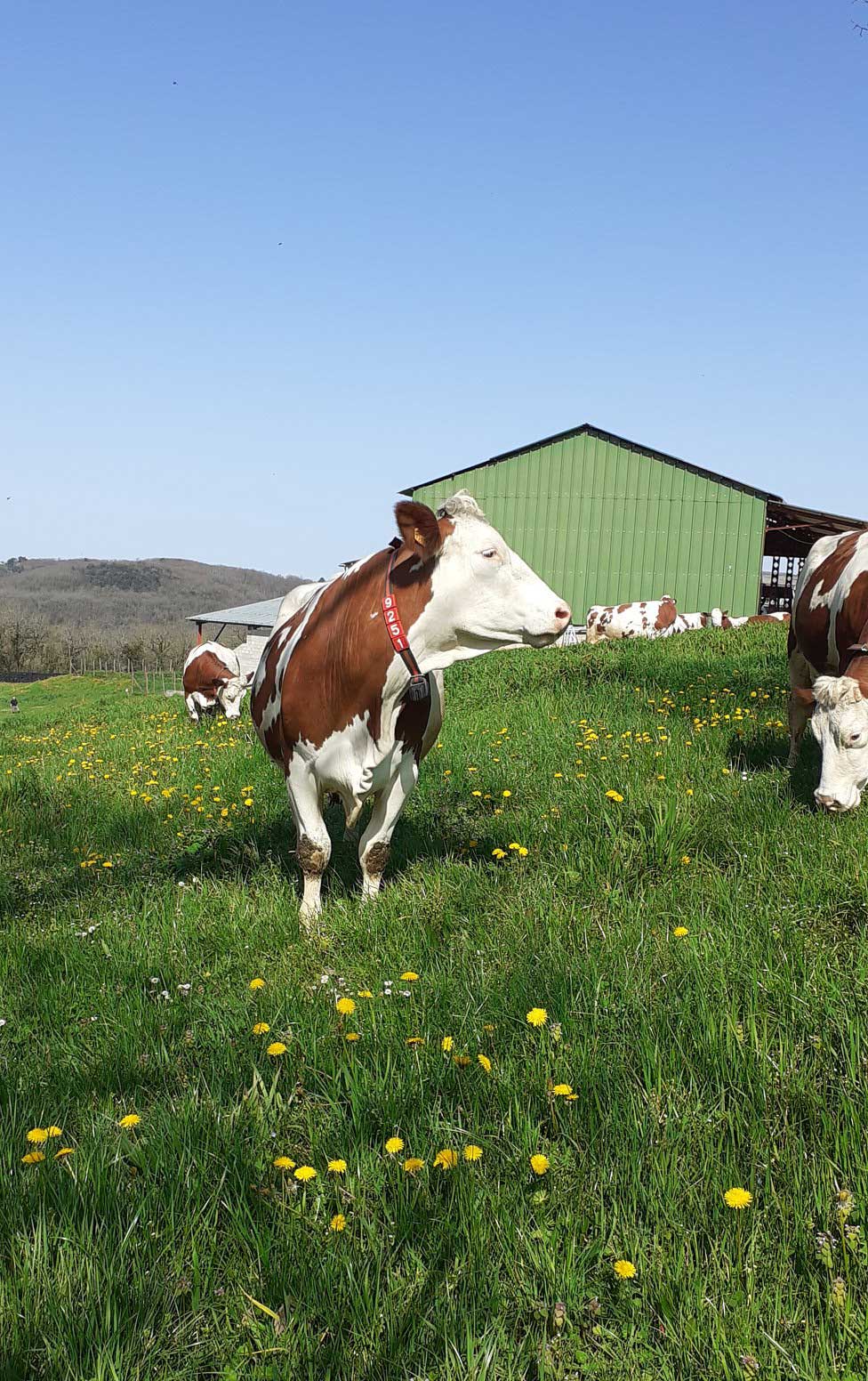 Ferme de la Brunie