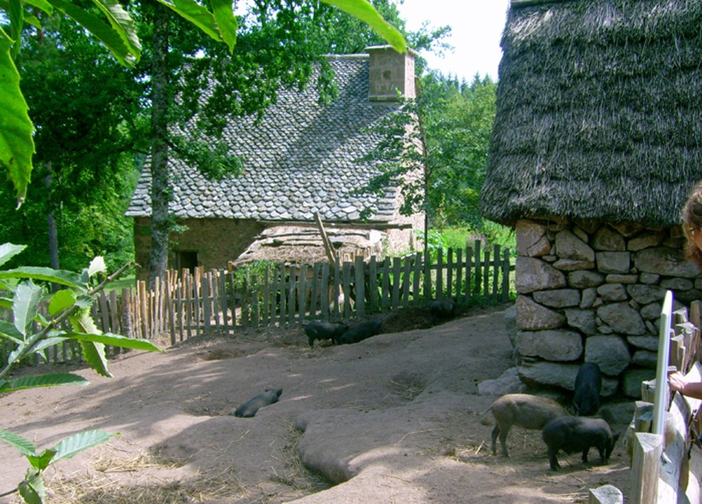 Les Fermes du Moyen Age, Saint-Julien-aux-Bois - photo 10