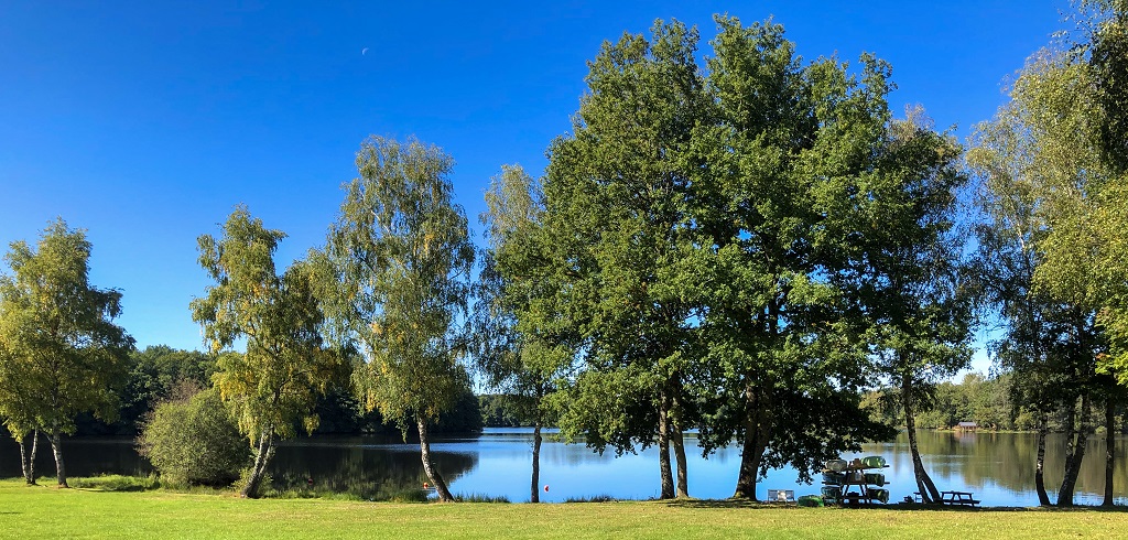 LACUSTRA : Chalets tout confort 2/3 places - photo 5