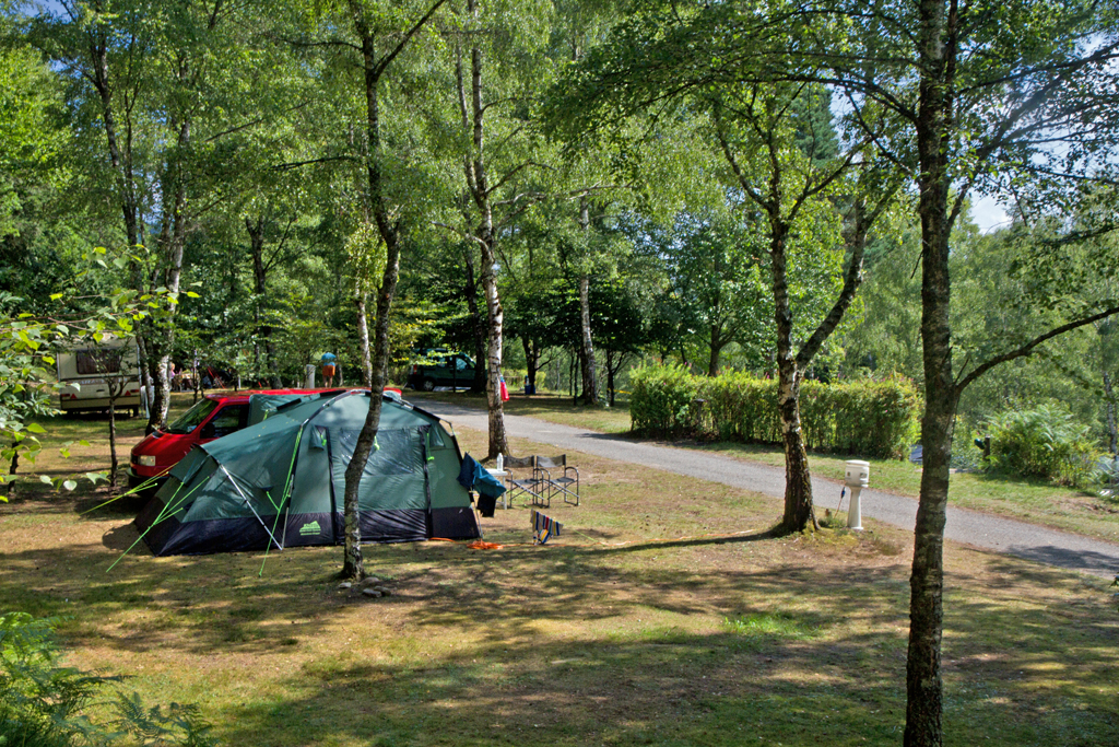 Flower camping la Plage - photo 4