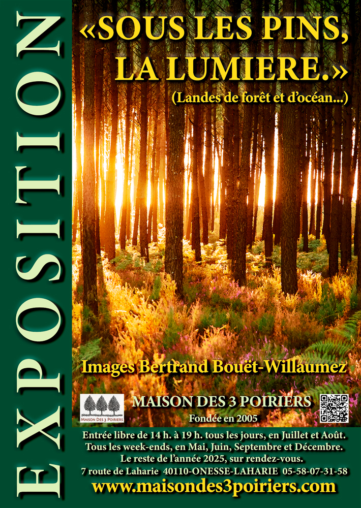 Maison des 3 Poiriers - Galerie de photographies de la forêt Landaise et de l’Océan.