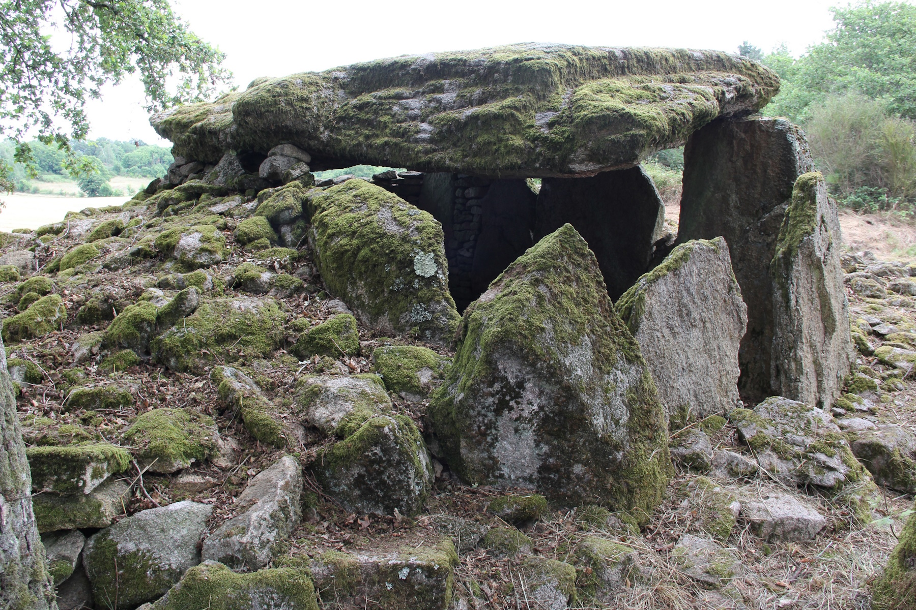 Dolmen des Goudours, Folles - photo 2