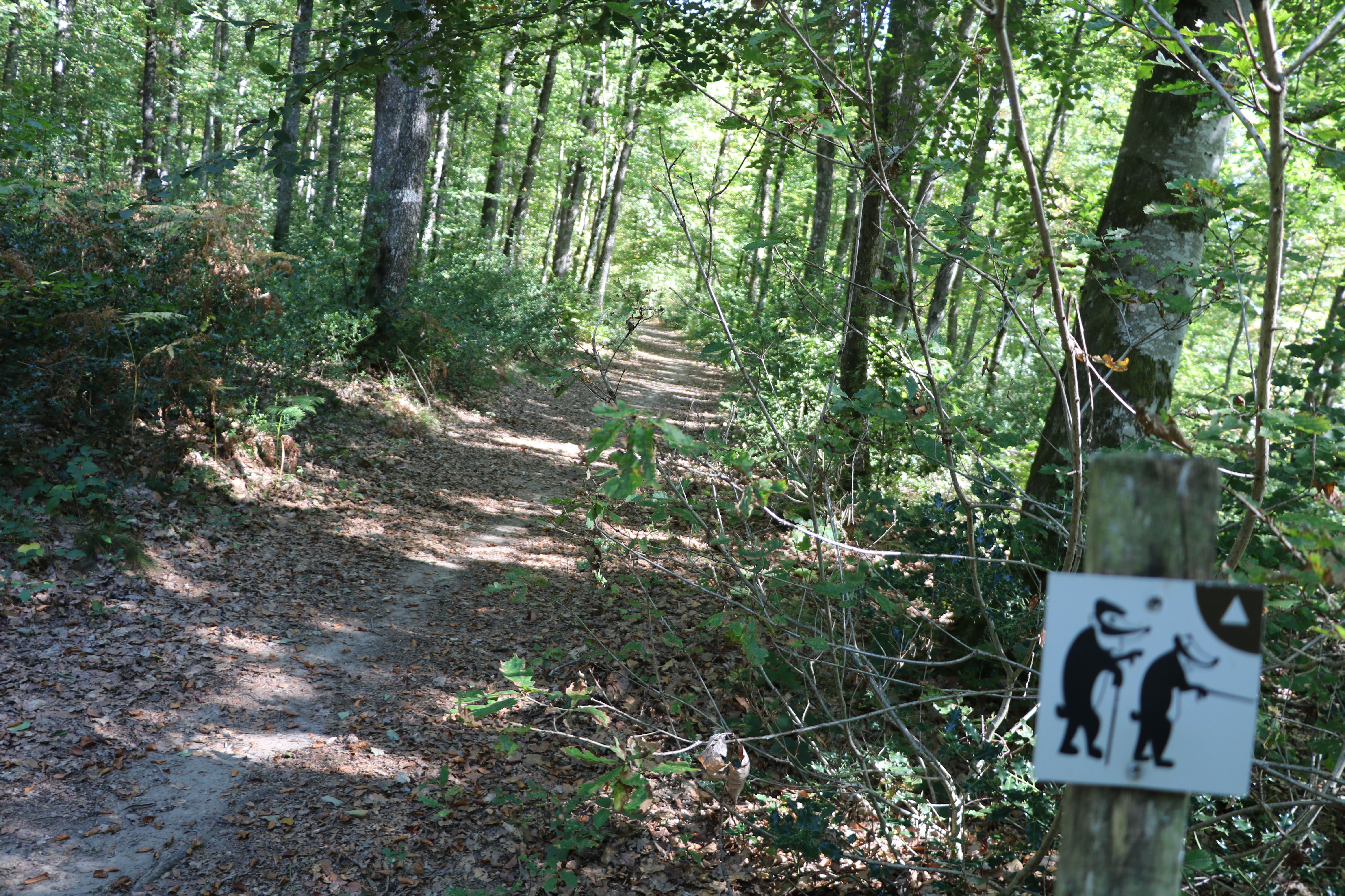 Forêt de Mirambel - photo 3