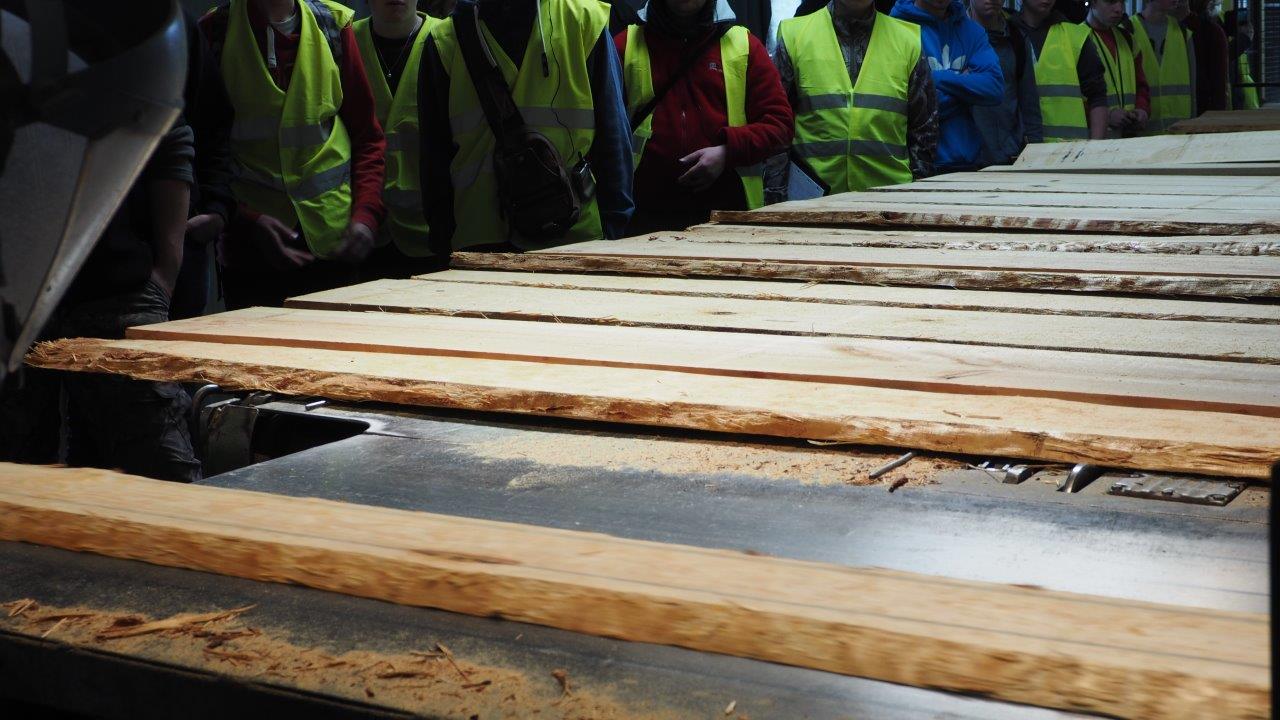 VISITE DE FP BOIS