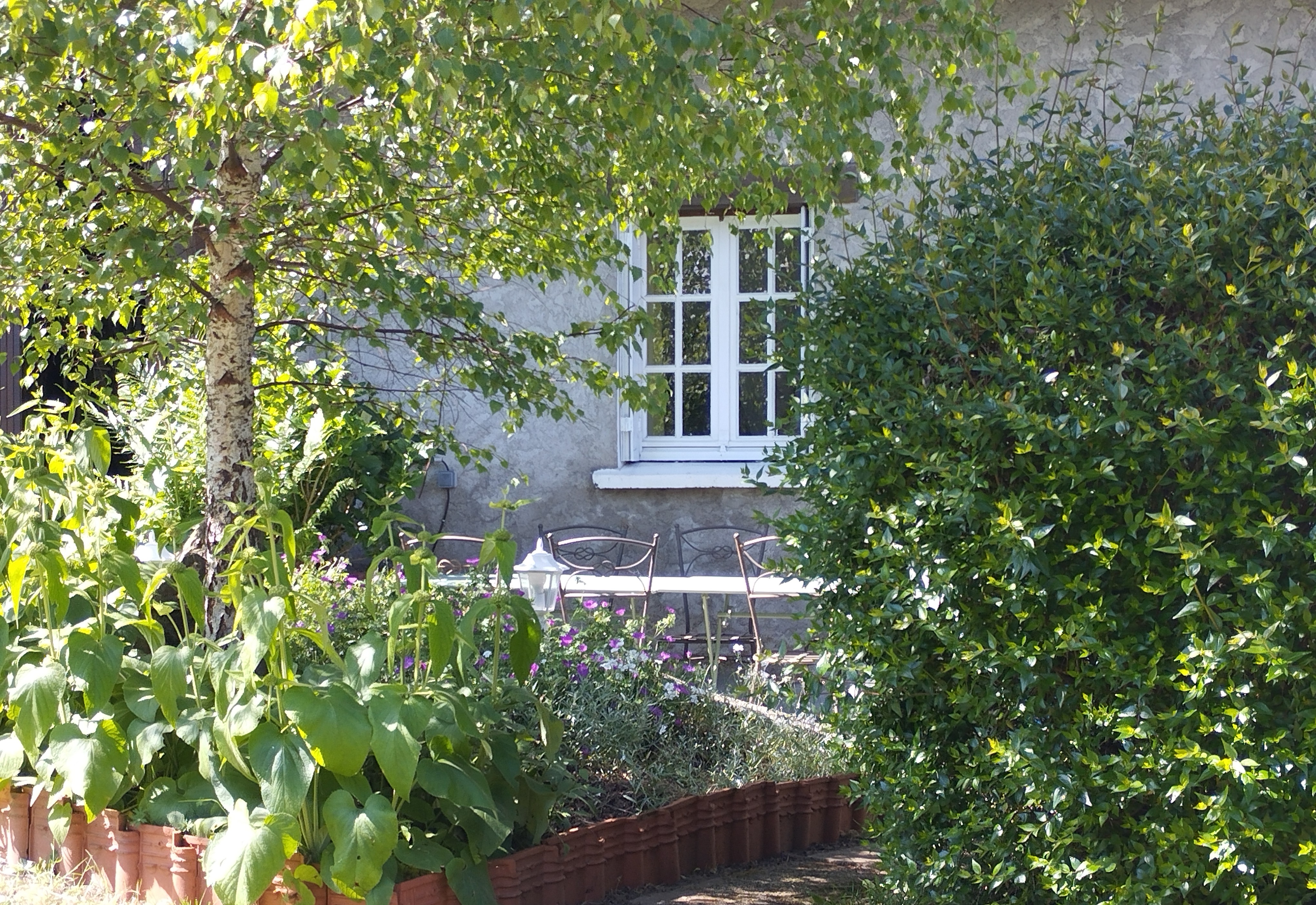 Meublé de tourisme Les Ginkgos, Saint-Sulpice-Laurière - photo 8