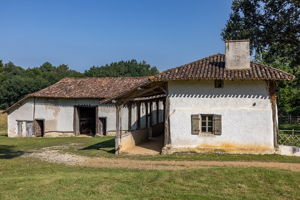 Boucle de la forêt de la Double, Montpon-Ménestérol - photo 4